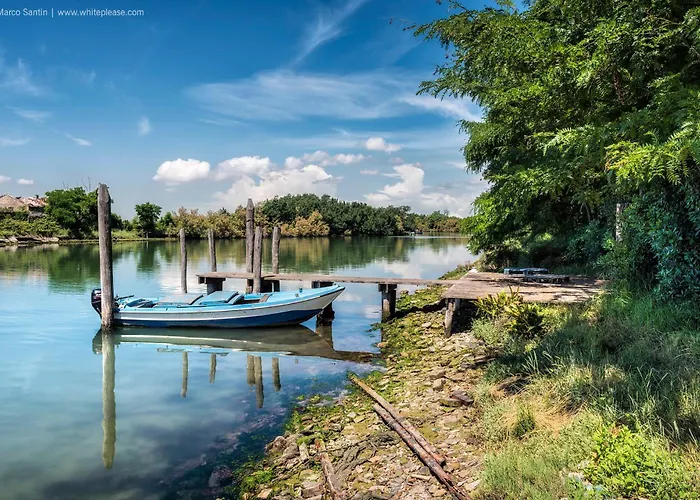 Flowers House - Host Solution