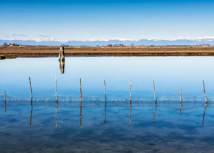 Flowers House - Host Solution *