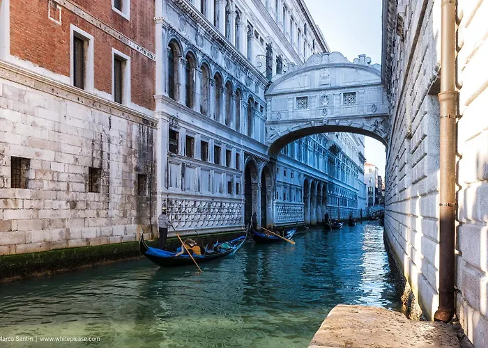 Flowers House - Host Solution *