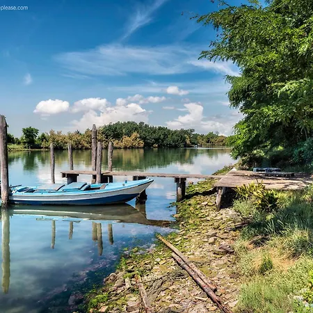 Flowers House - Host Solution