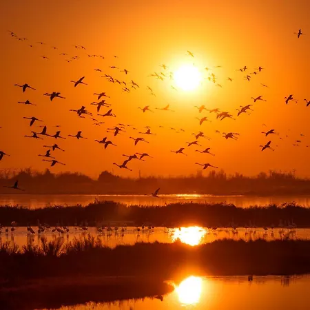 Appartement Flowers House - Host Solution *