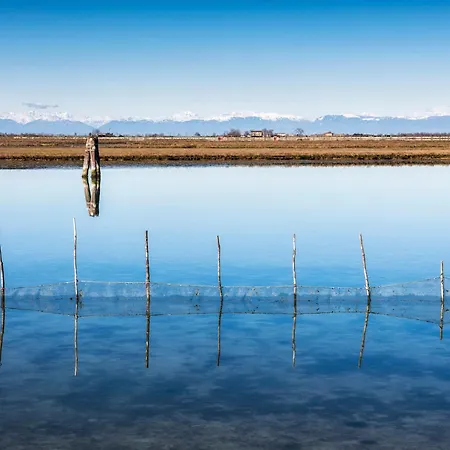 Flowers House - Host Solution *